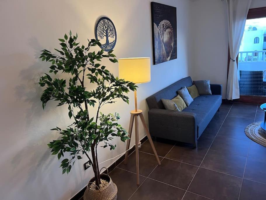 Apt 360º Panoramic View 코스타 테기세 외부 사진